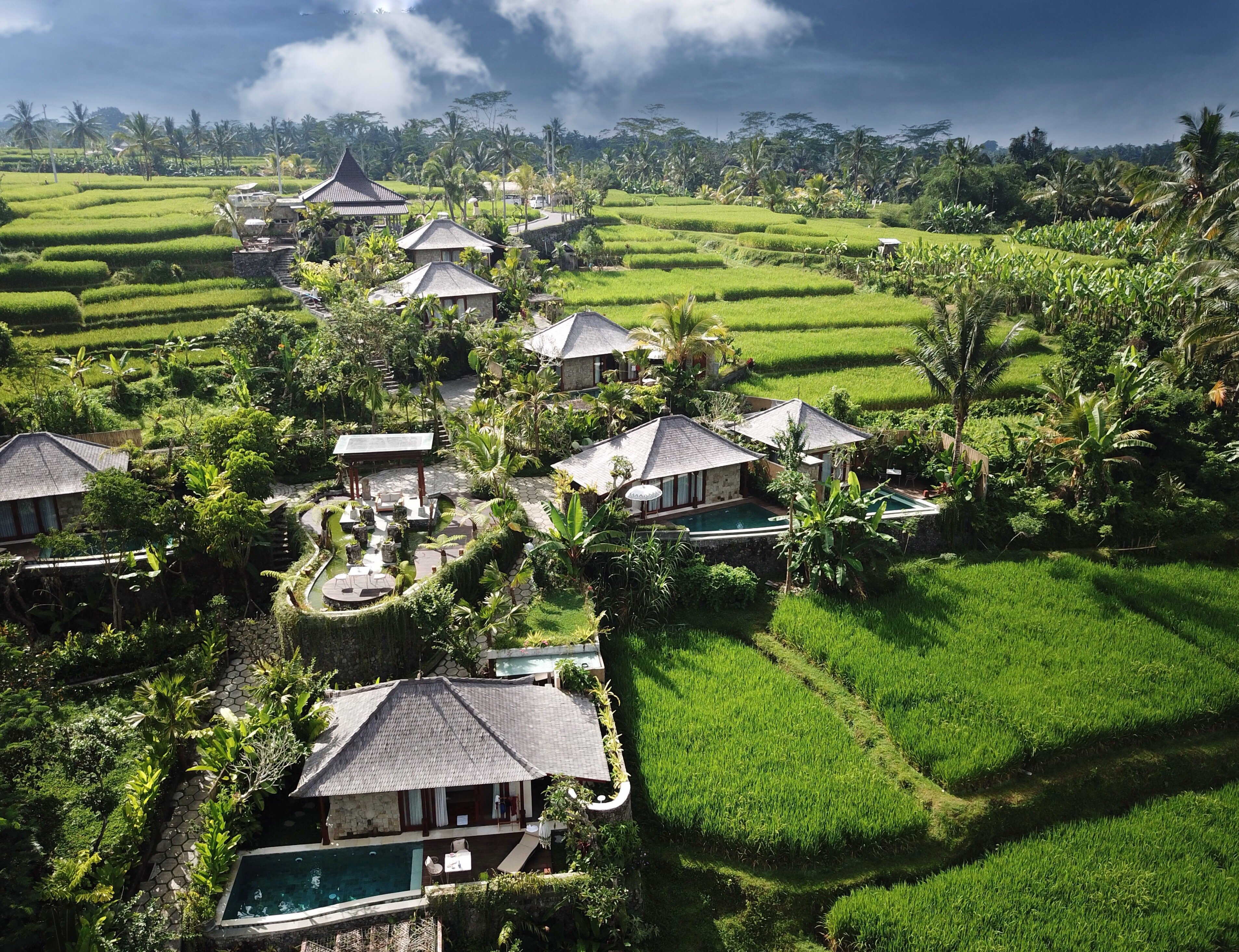 Nau Villa Ubud-官方
