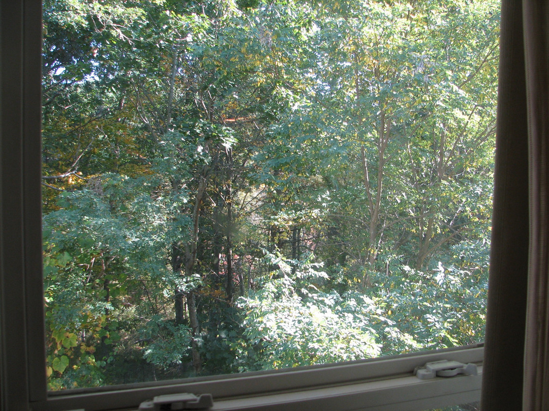 Residence Inn Boston Westford主图