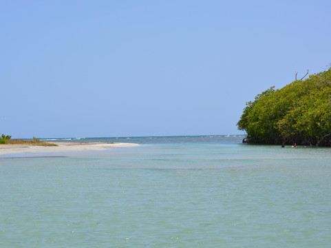 Carenero旅游景点-Bahia Ballena