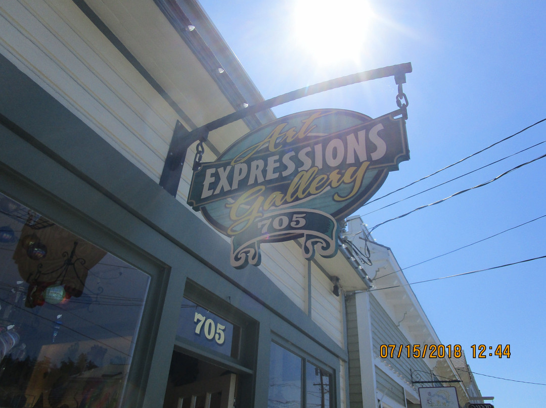 Expressions Fine Art Gallery-拉康纳必去景点