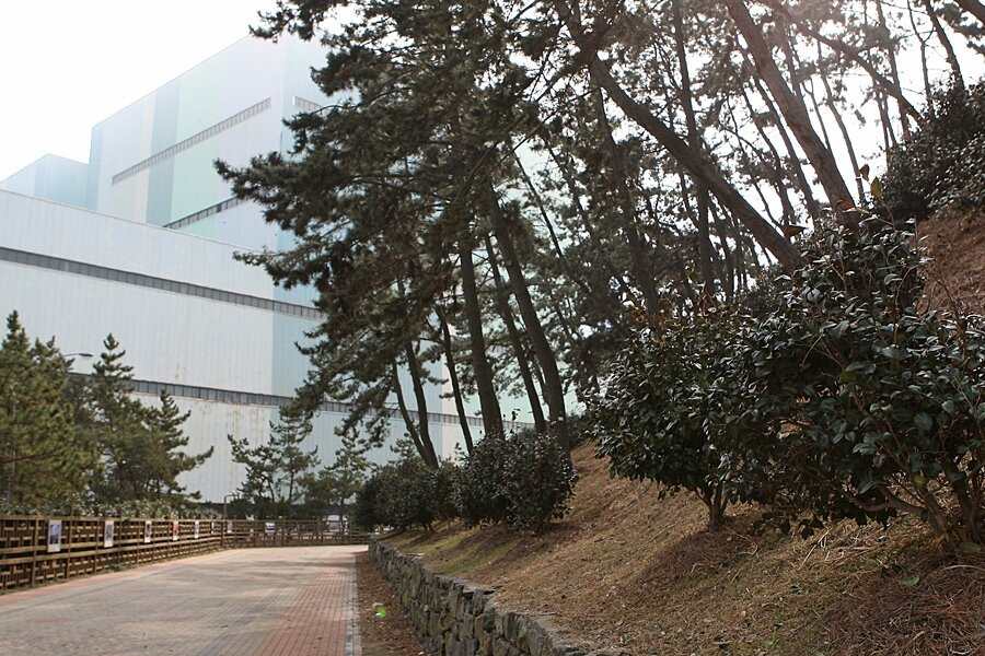 Seocheon Maryang-ri Camellia Forest