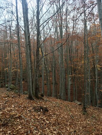 Parco Vivo Toscana-Vivo d'Orcia必去景点