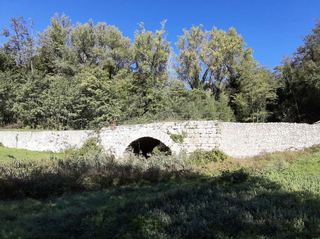 Ponte Scotonico