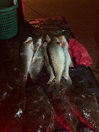 Bill Buster Charters-Saint Helena Island必去景点