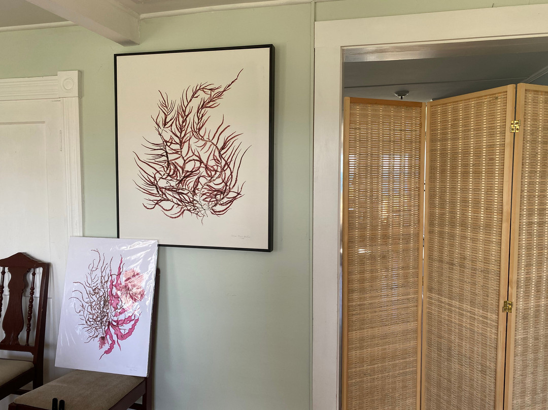 Corinna Kaufman Seaweed Art Gallery景点图片
