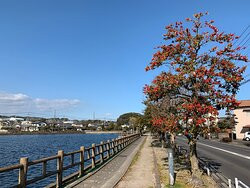 Shirachiko Lake-岛原市必去景点