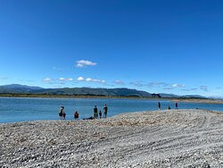 Otaki River Walks景点图片
