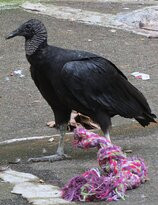 Trailside Museum & Zoo-Tomkins Cove必去景点