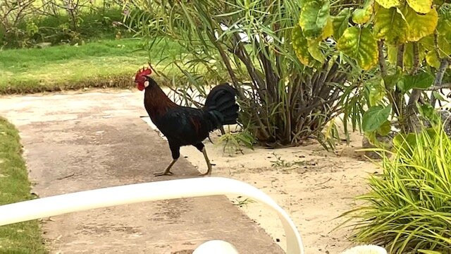 Carimar Beach Club主图