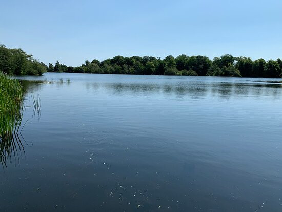 Bolam Lake Country Park-Belsay必去景点