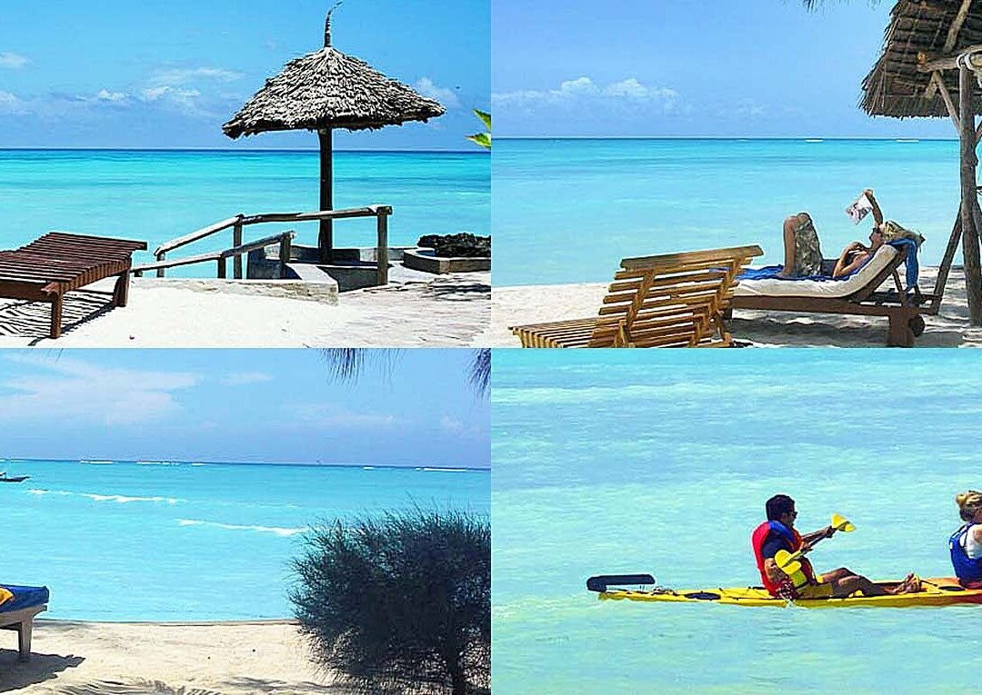 Zanzibar Tours: #1 Best Tours in Zanzibar | Zanzibar Tour Packages (2026 & 2027)