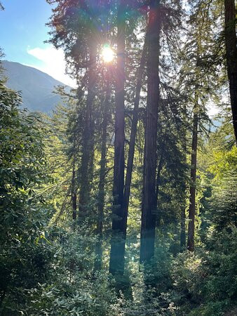 Buzzards Roost Trail-大苏尔必去景点