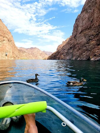 Vegas Glass Kayaks-博尔德城必去景点