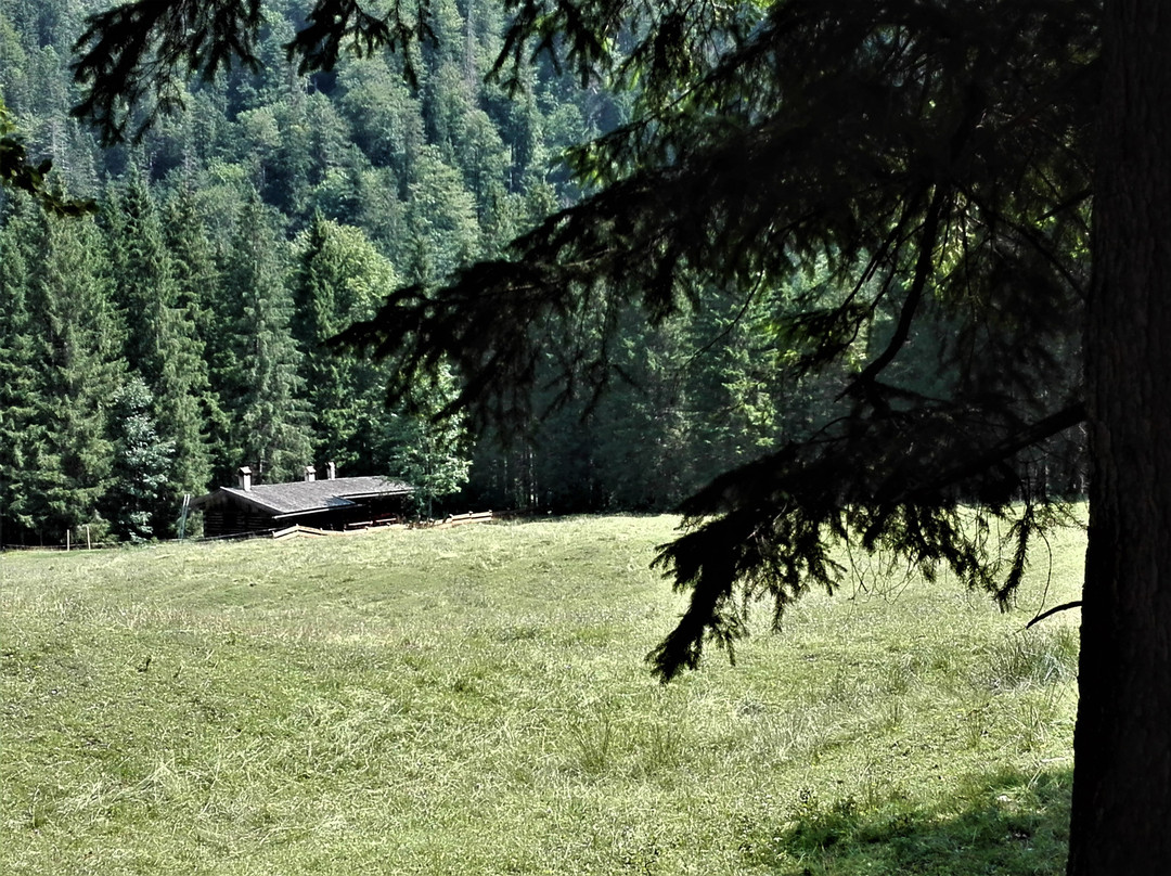 Große Wolfsschlucht