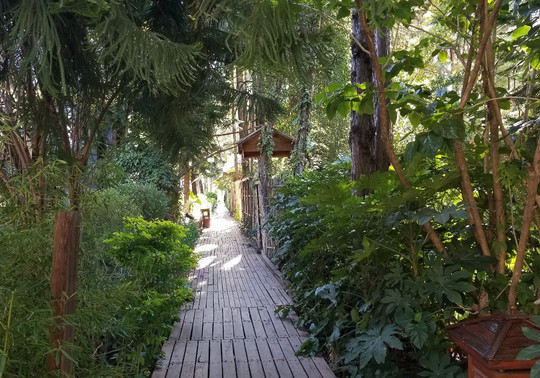 普陀泉温泉度假村主图