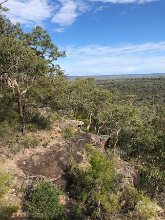 Olympic Drive Lookout-Blaxland必去景点
