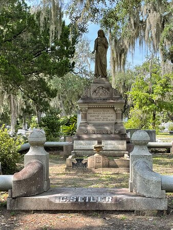 Savannah Cruzers-萨凡纳必去景点