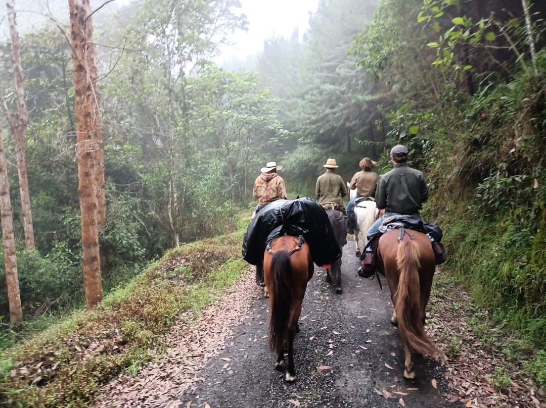 Steel Horse Colombia-Filandia必去景点