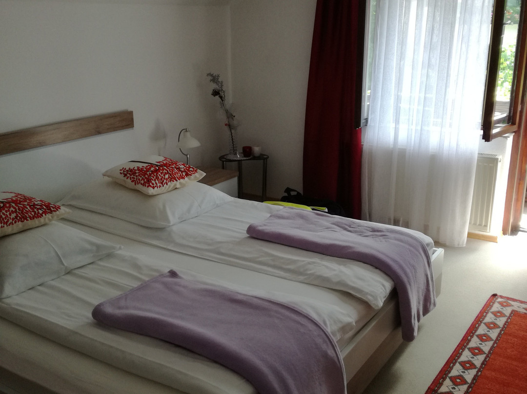 Ribcev Laz酒店住宿-Sobe Ćuskić