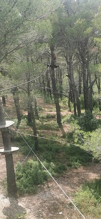 Le Royaume des Arbres-Le Castellet必去景点