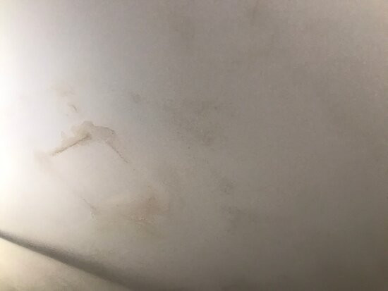 Comfort Suites near MCS Beaufort主图