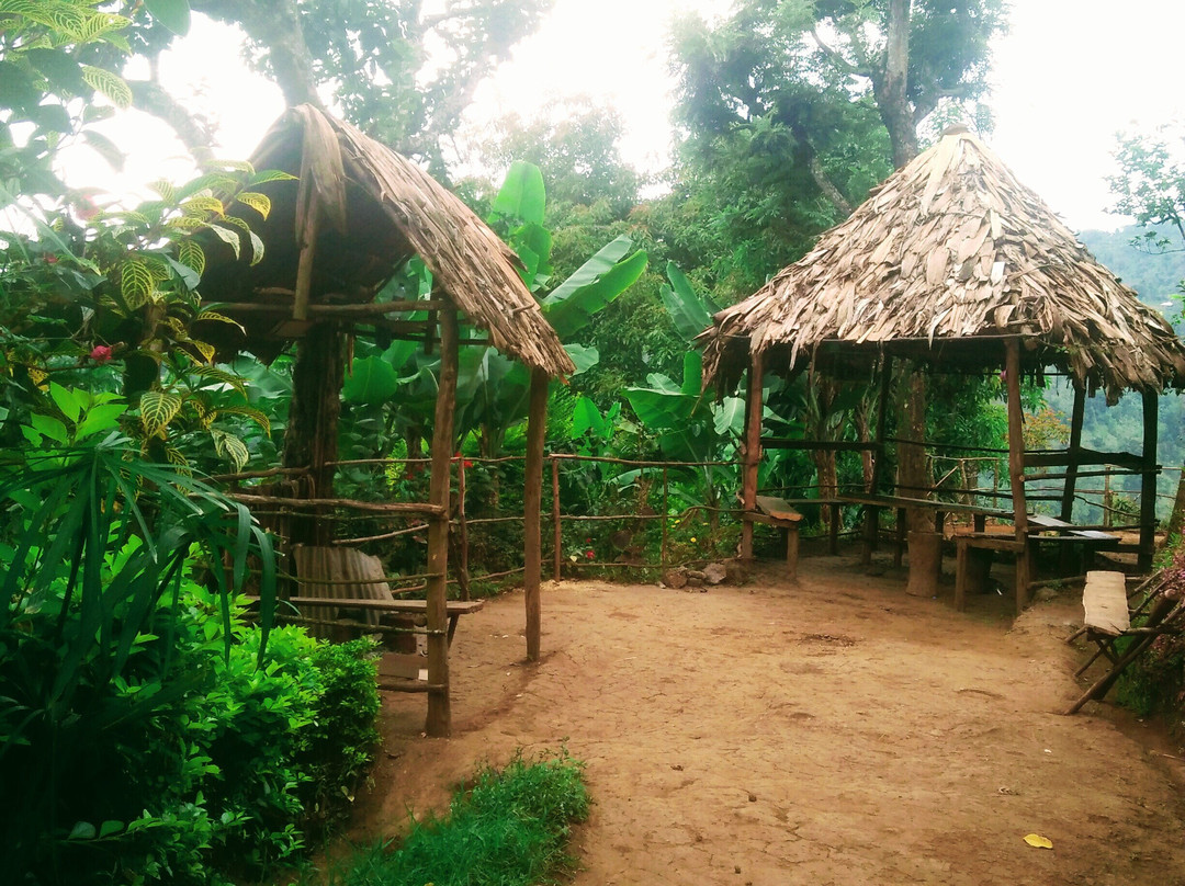 Materuni Waterfalls-莫西必去景点