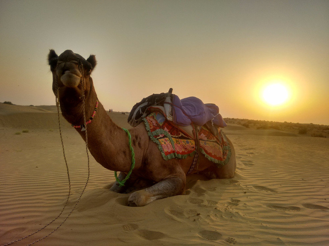 Carpe Diem Desert Safari景点图片
