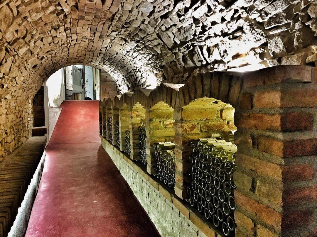 Hovorany酒店住宿-Penzion U Krizku