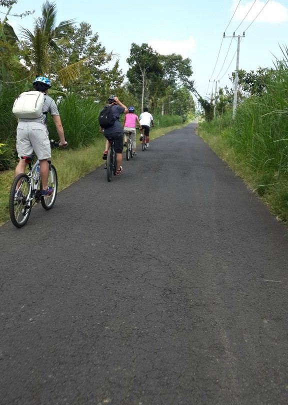 Bali Hideaway Bike-佩艳艮必去景点