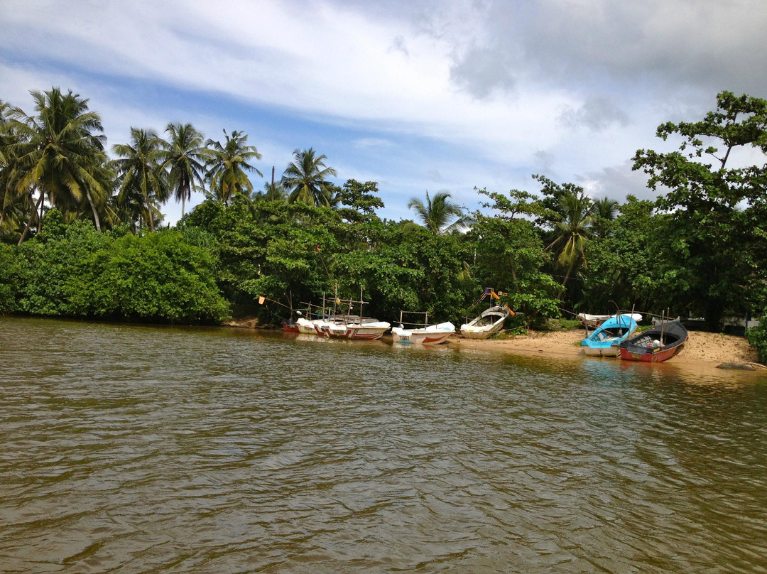 Madu River Safari by Buddhi-巴拉碧提雅必去景点