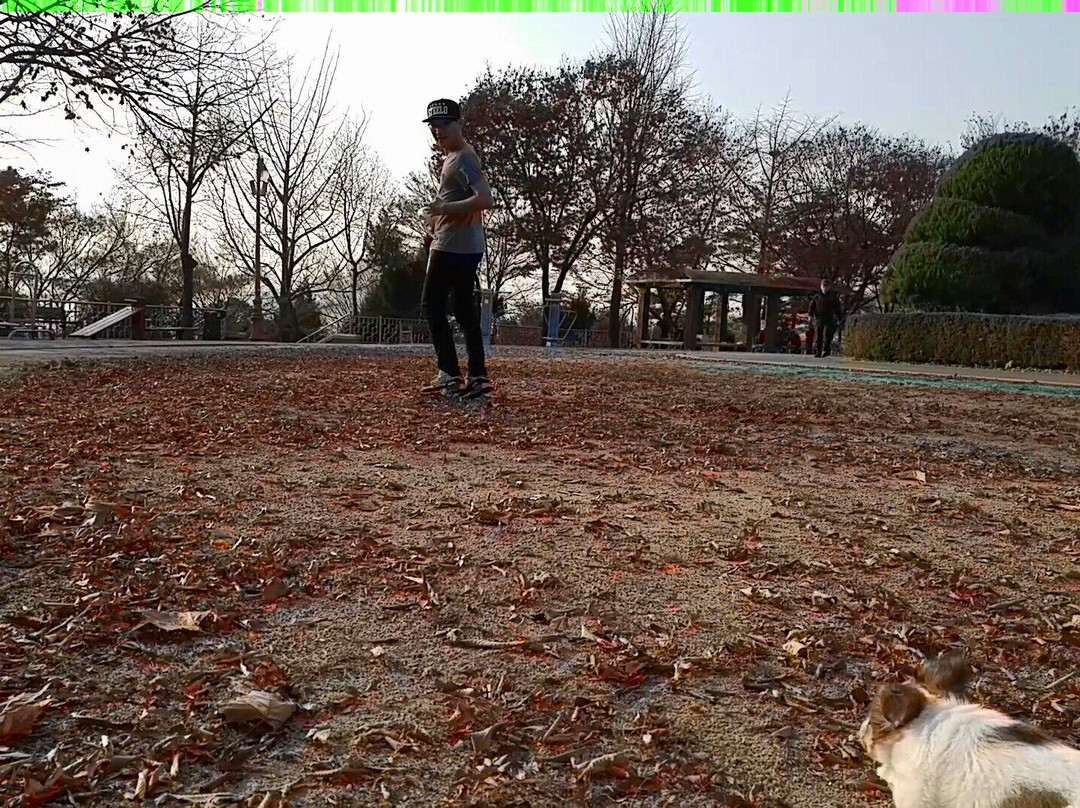 城南市旅游景点-Huimangdae Park