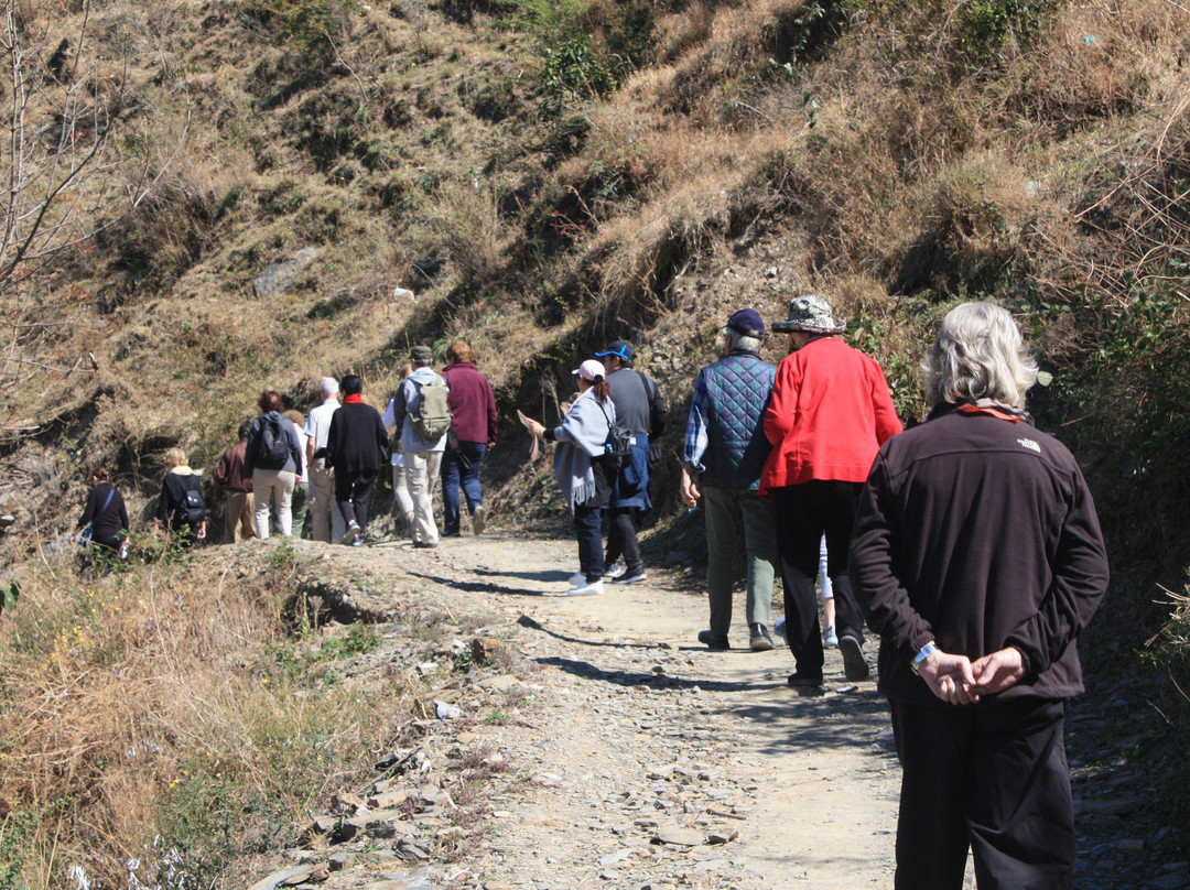 Shimla Walks景点图片