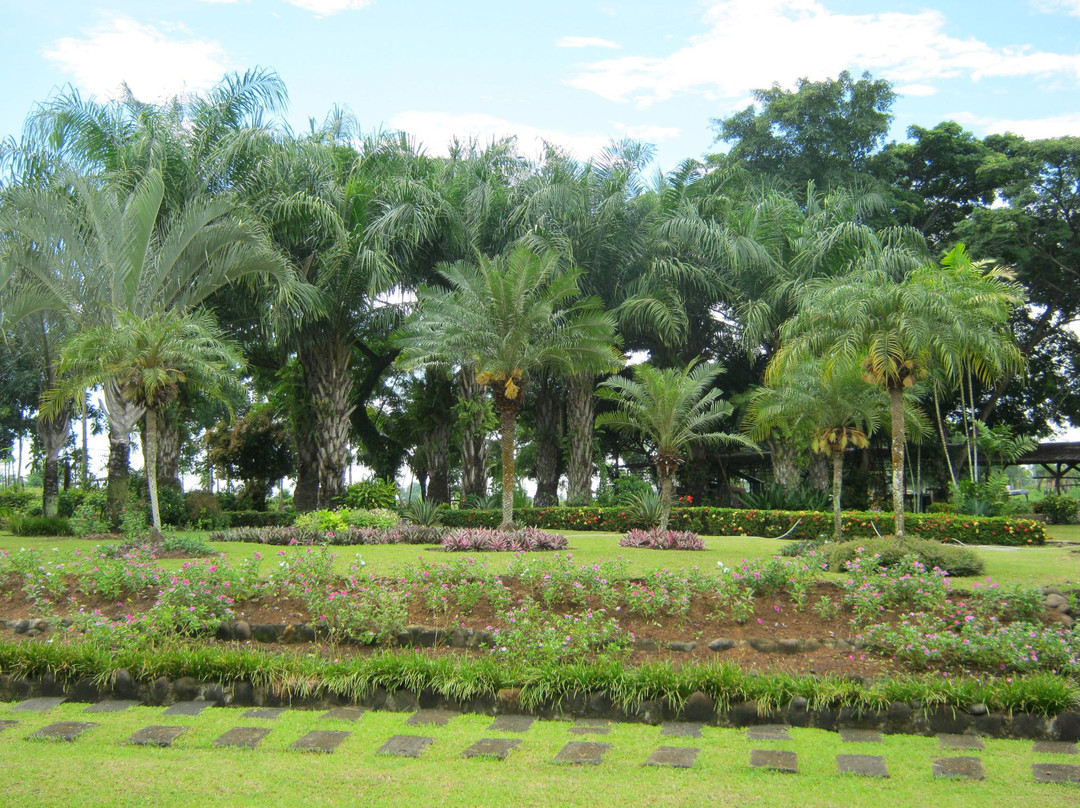 Sagay City Garden and Living Tree Museum