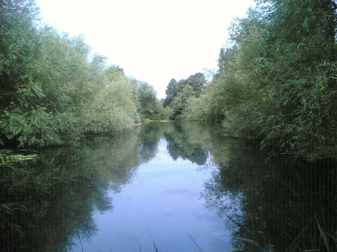 Beeston Sidings Nature Reserve景点图片