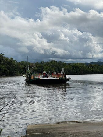 Daintree Ferry景点图片