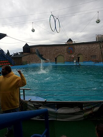Adler Dolphinarium-索契必去景点