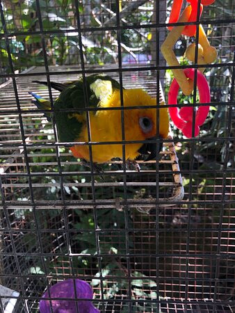 Joe's Nuts-库克船长必去景点