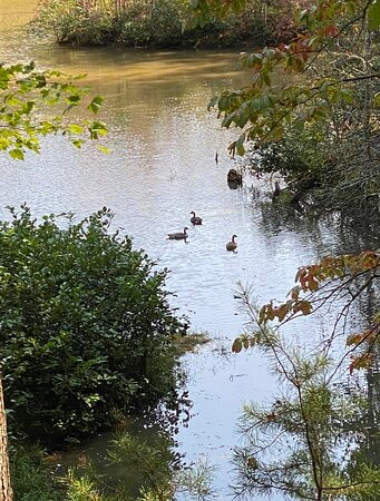 Pilot Knob Inn主图