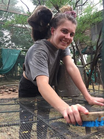 International Primate Rescue-比勒陀利亚必去景点