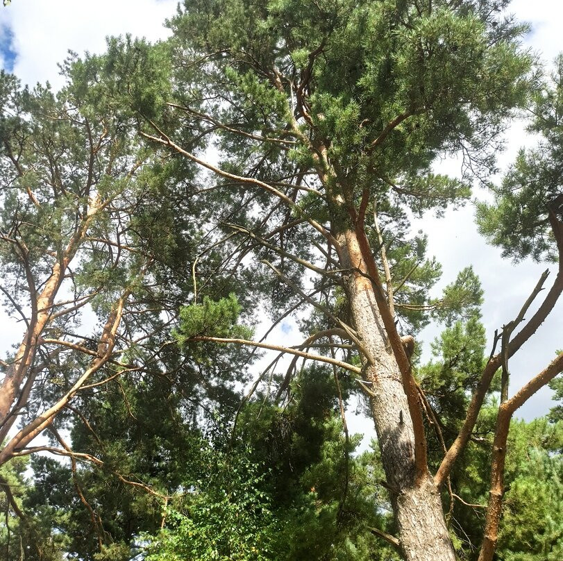 Park Hotel Spasskoye主图