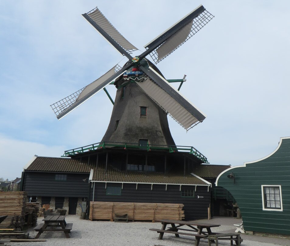 Windmillamsterdam景点图片