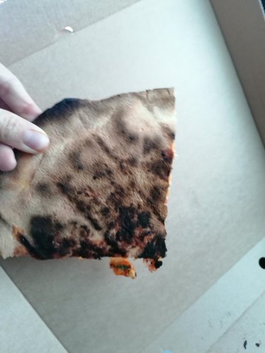 Sea Lodge Hotel-官方