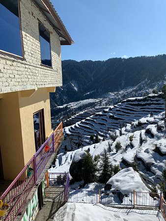 The Shivay Cafe & Stay主图