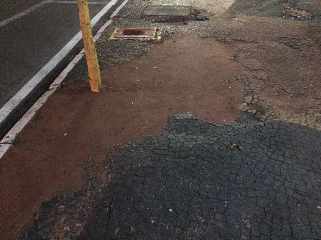 Celina Lourdes Alves Neves Municipal Theater-Bauru必去景点