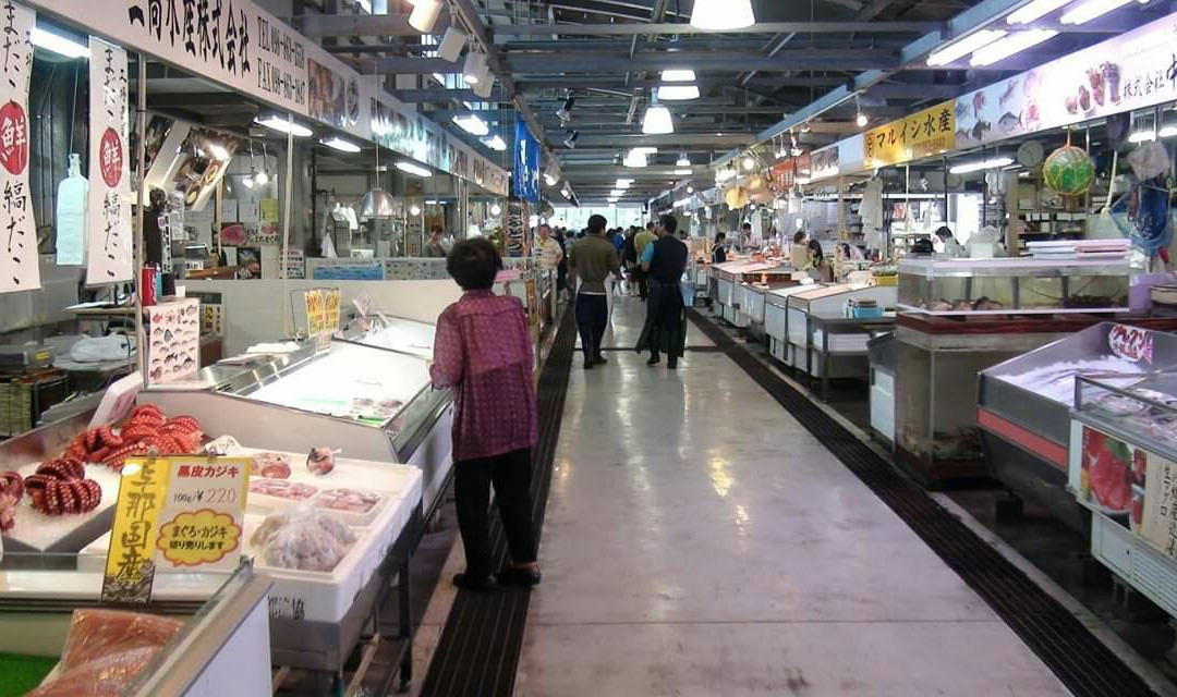 泊港鱼市场景点图片