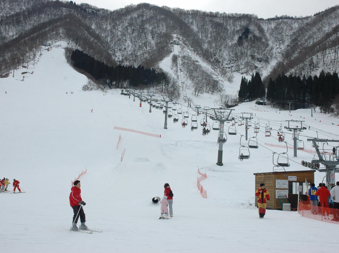 Kuzuryu Ski Area景点图片