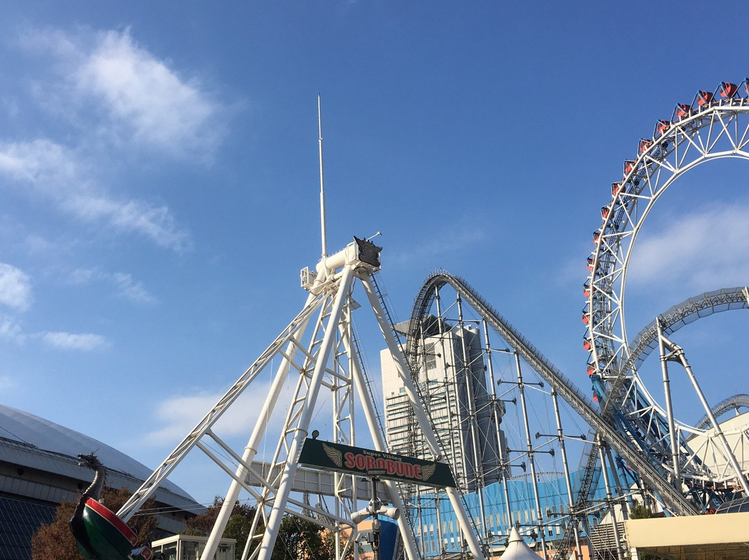 文京区旅游攻略图片