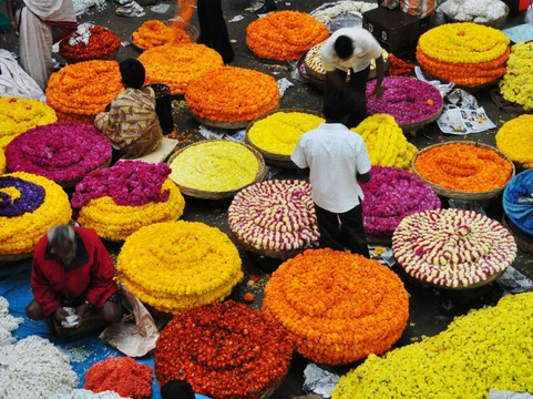 Travspire Bangalore Tours-班加罗尔必去景点