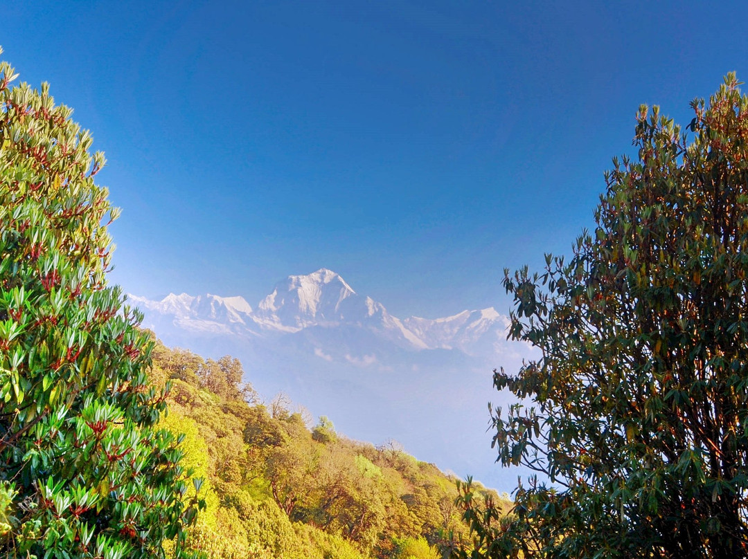 尼泊尔旅游攻略图片
