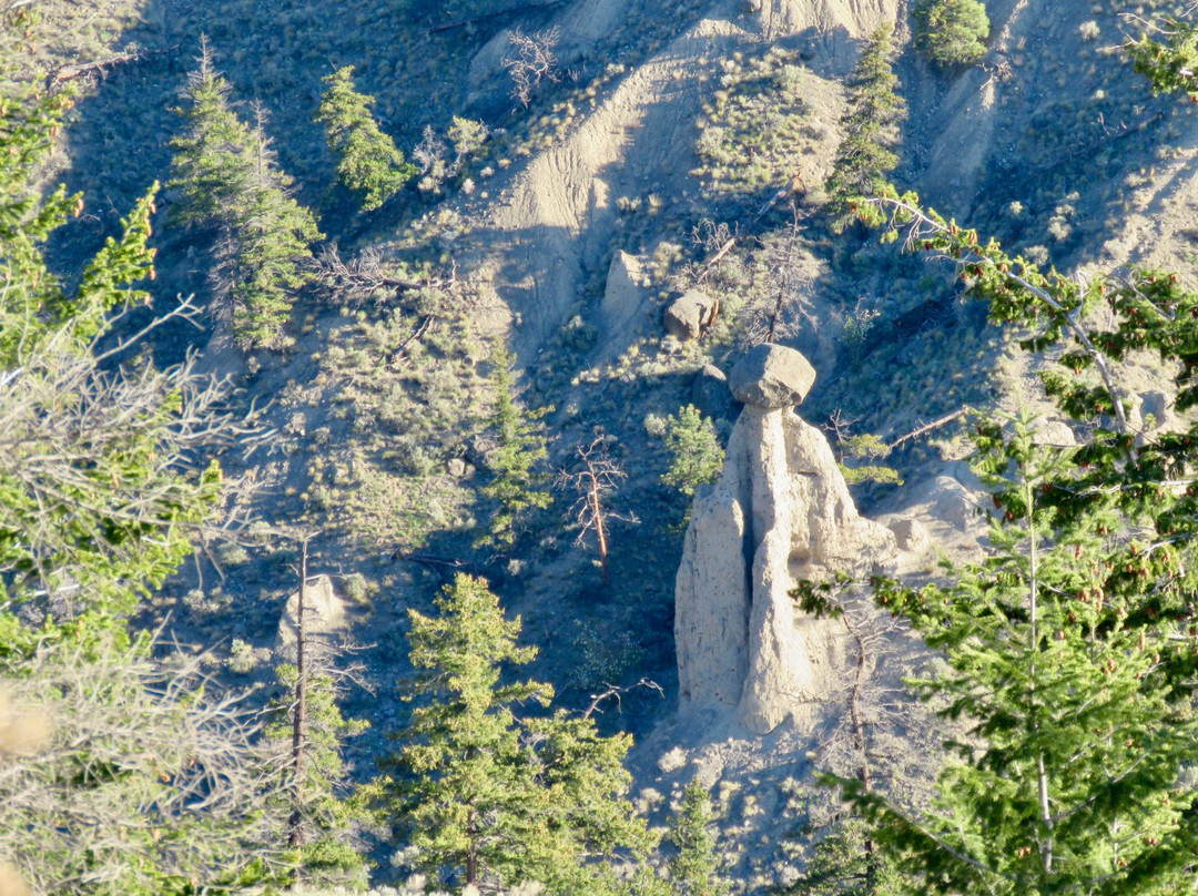 Savona旅游攻略图片